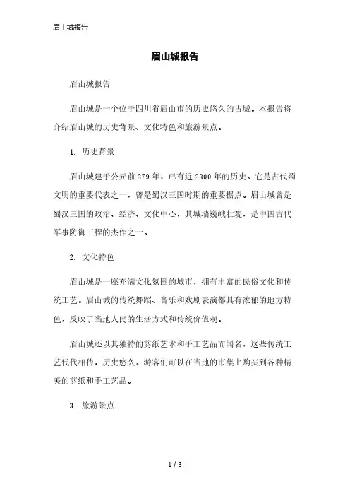 眉山城报告简洁范本