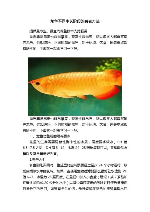 龙鱼不同生长阶段的喂养方法