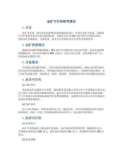 金矿可行性研究报告