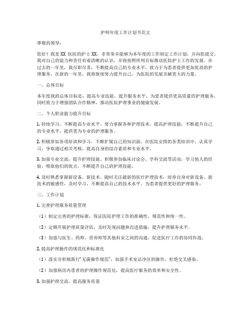 护师年度工作计划书范文