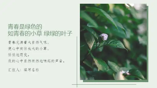 文艺风青青小草PPT模板