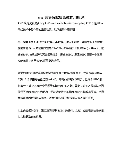 rna诱导沉默复合体作用原理