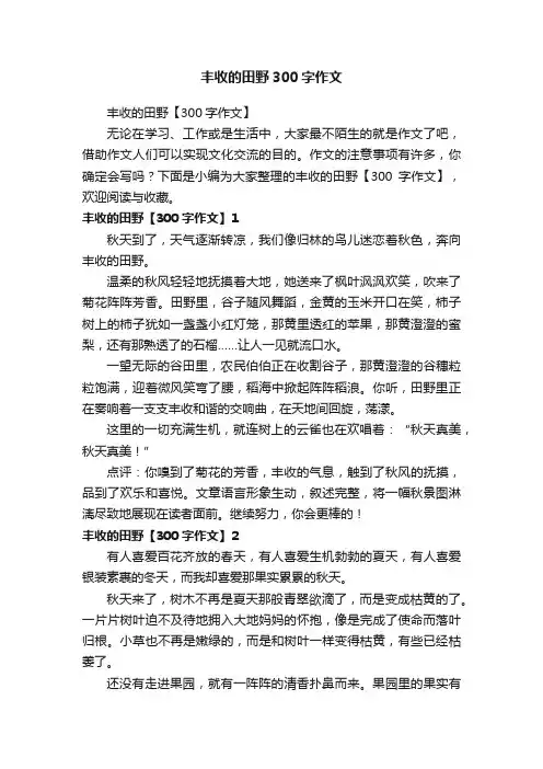 丰收的田野300字作文
