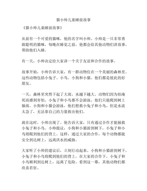 猫小帅儿童睡前故事