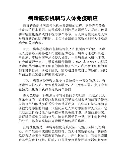 病毒感染机制与人体免疫响应