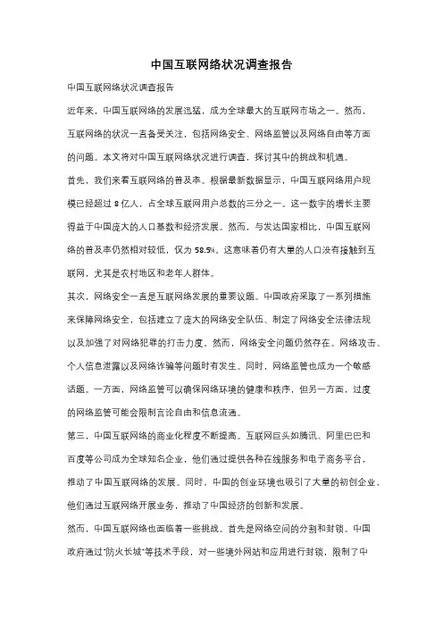 中国互联网络状况调查报告