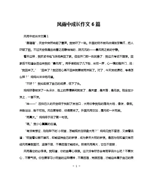 风雨中成长作文6篇