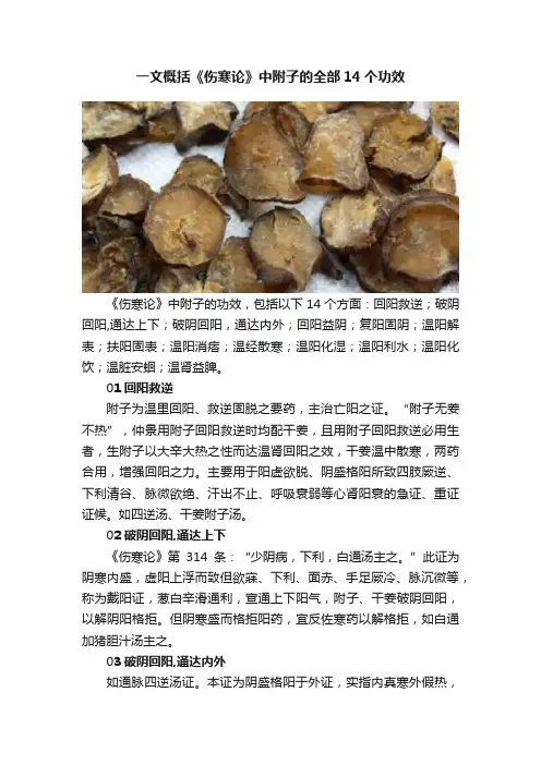 一文概括《伤寒论》中附子的全部14个功效