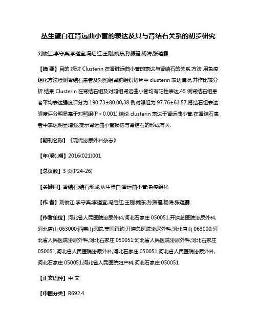 丛生蛋白在肾远曲小管的表达及其与肾结石关系的初步研究