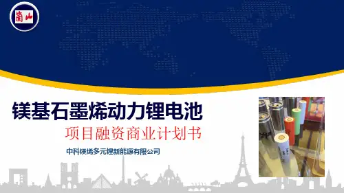 模板重点镁基石墨烯锂电池商业计划书