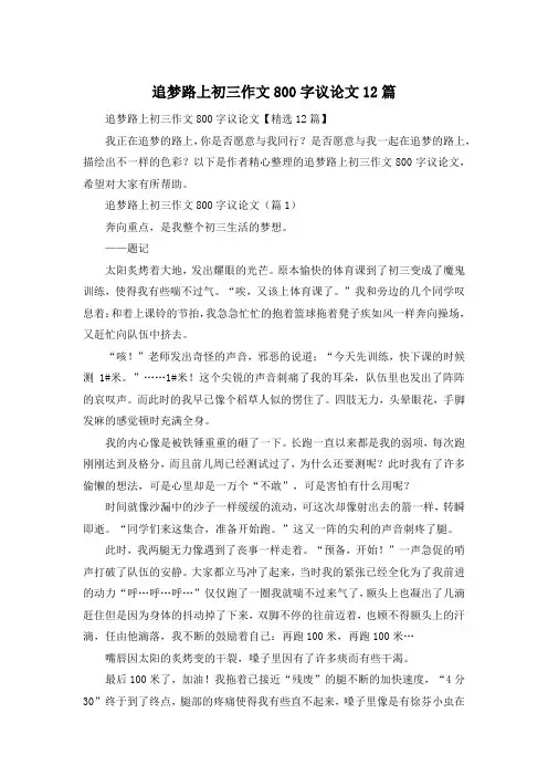 追梦路上初三作文800字议论文12篇