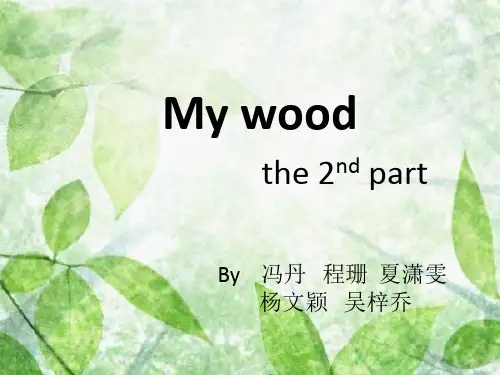 My wood 第二段 演示文稿终极版