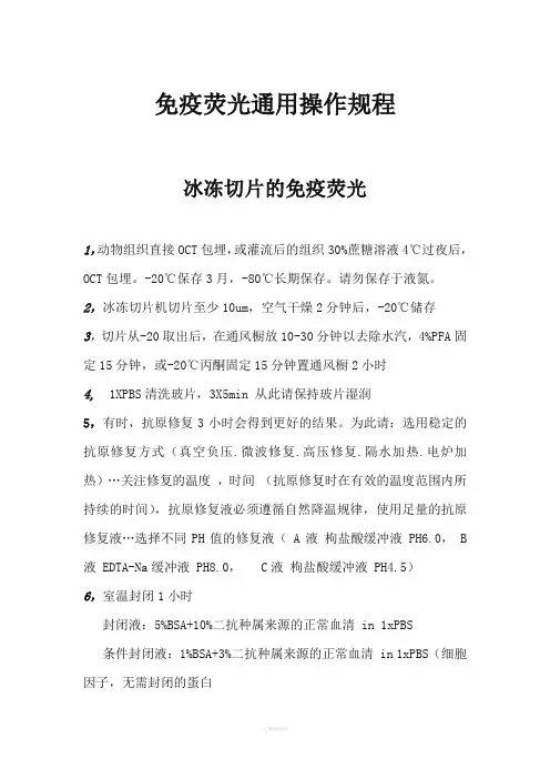 冰冻切片的免疫荧光