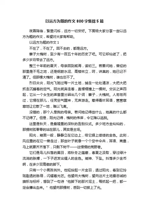 以远方为题的作文800字集锦5篇