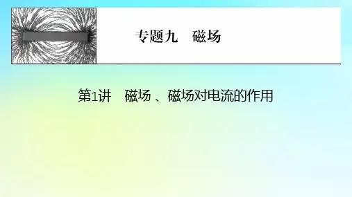 2024版高考物理一轮总复习专题九磁场第1讲磁场磁吃电流的作用课件