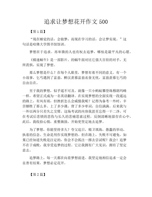 追求让梦想花开作文500