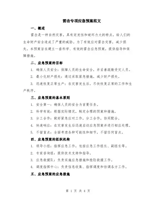 雷击专项应急预案范文