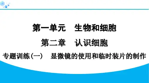 专题训练(一) 显微镜的使用和临时装片的制作【课后练】七年级上册人教版生物