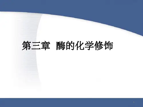 《酶蛋白的化学修饰》PPT课件