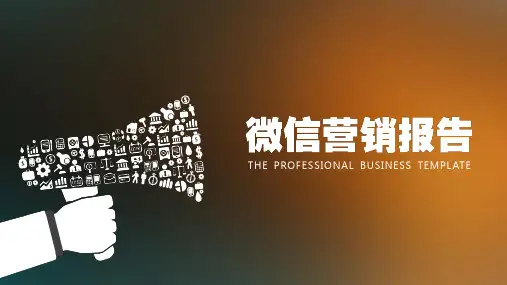手机APP社交软件营销报告PPT模板
