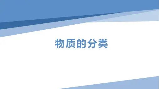 物质分类高一化学鲁科版(2019)必修第一册