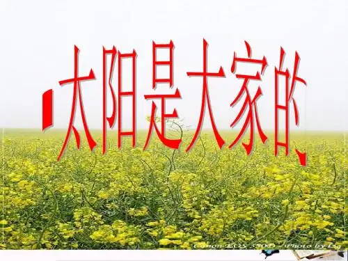 二年级语文上册第九单元太阳是大家的PPT课件3湘教版