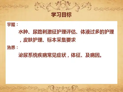 内科护理学泌尿系统ppt课件