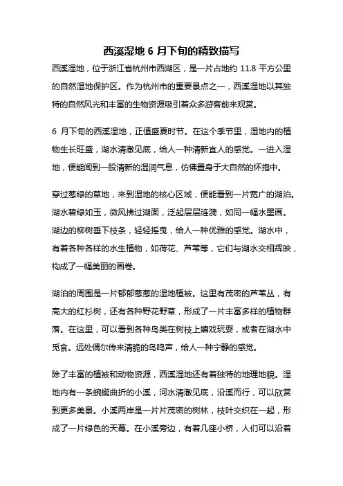 西溪湿地6月下旬的精致描写