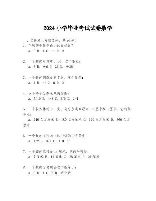 2024小学毕业考试试卷数学