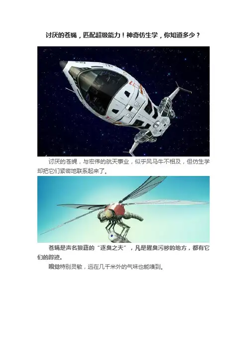 讨厌的苍蝇，匹配超级能力！神奇仿生学，你知道多少？
