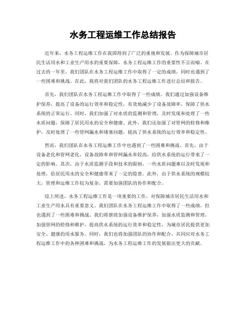 水务工程运维工作总结报告