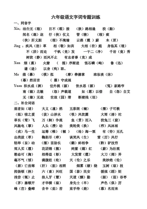 六年级语文字词专题训练