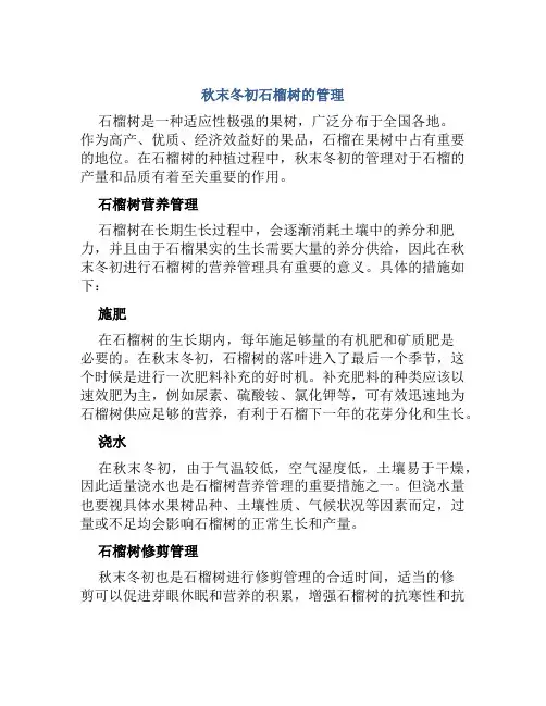 秋末冬初石榴树的管理