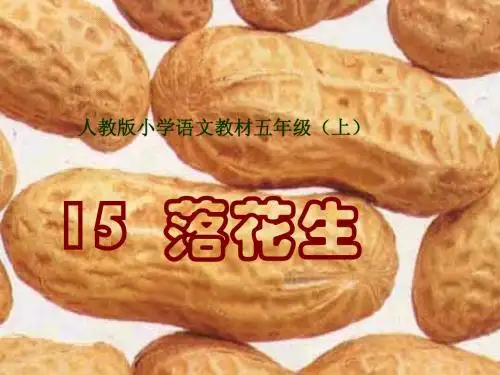 落花生