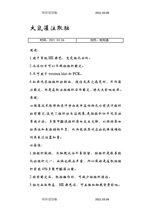 大鼠灌注取脑之欧阳道创编