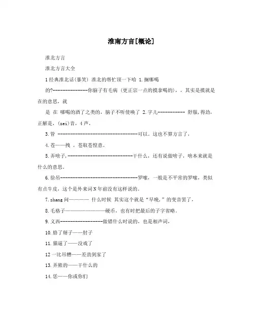 淮南方言概论