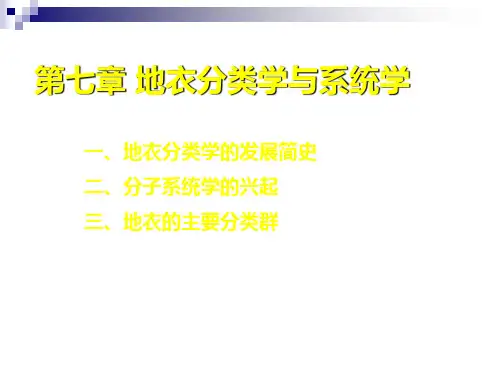 地衣分类学与系统学