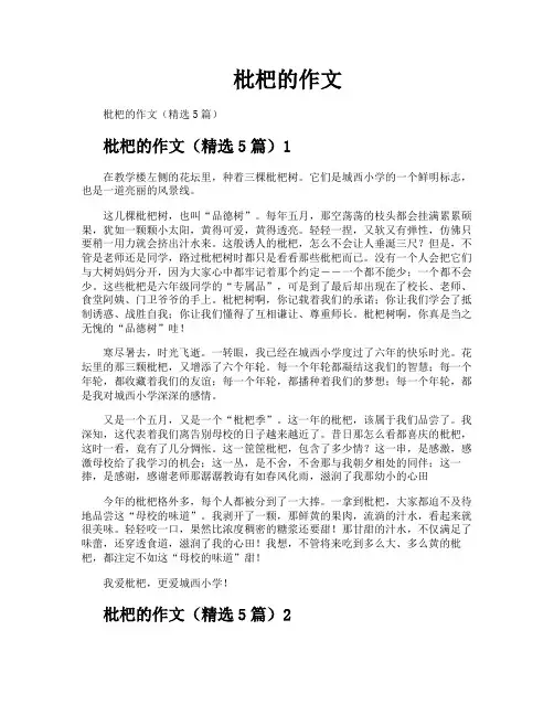 枇杷的作文