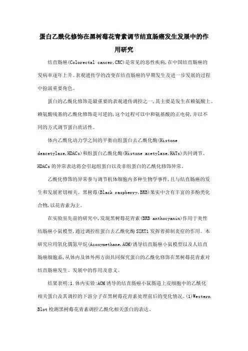 蛋白乙酰化修饰在黑树莓花青素调节结直肠癌发生发展中的作用研究