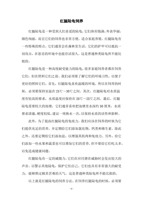红腿陆龟饲养