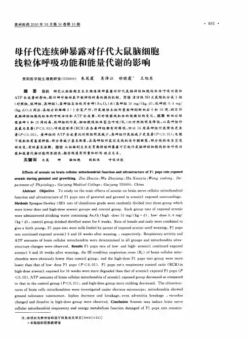 母仔代连续砷暴露对仔代大鼠脑细胞线粒体呼吸功能和能量代谢的影响