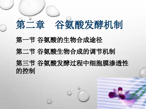 第二章-谷氨酸发酵机制