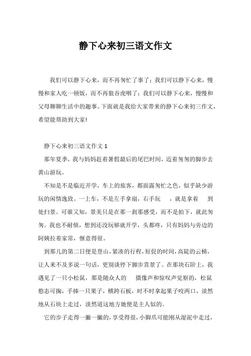 (初三作文)静下心来初三语文作文