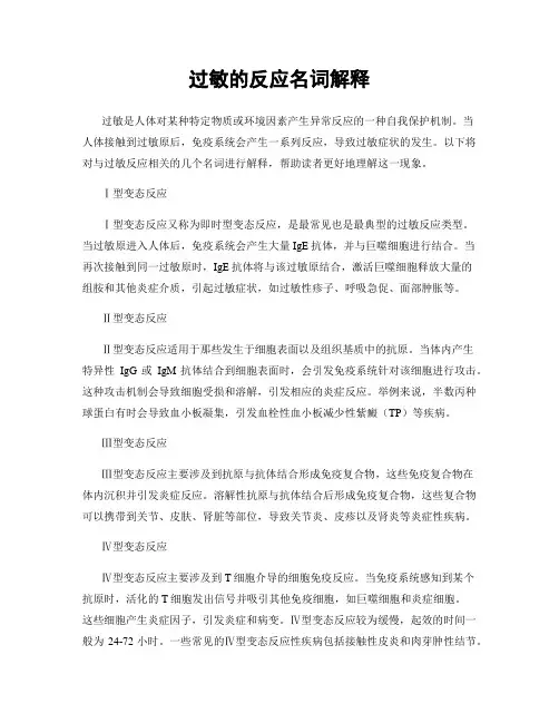 过敏的反应名词解释