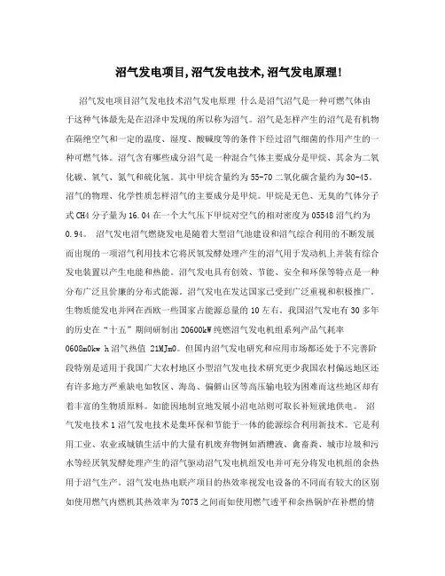 沼气发电项目,沼气发电技术,沼气发电原理!