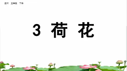 统编版三年级语文下册第一单元第3课《荷花》(教学课件