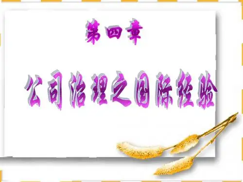 公司治理4