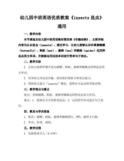 幼儿园中班英语优质教案《insects昆虫》通用2