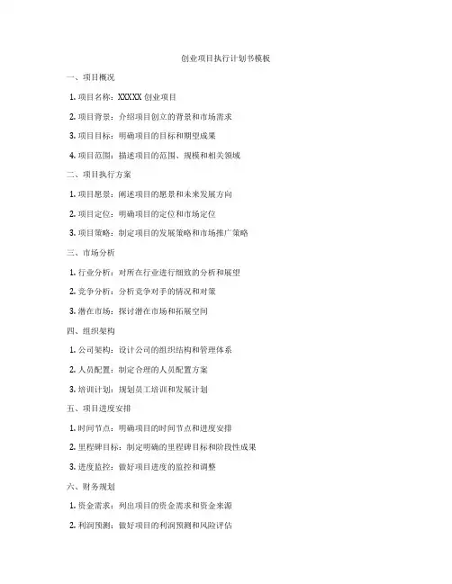 创业项目执行计划书模板