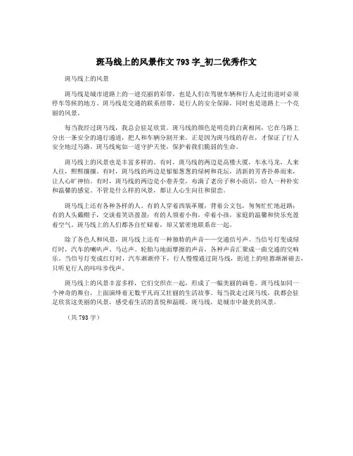 斑马线上的风景作文793字_初二优秀作文